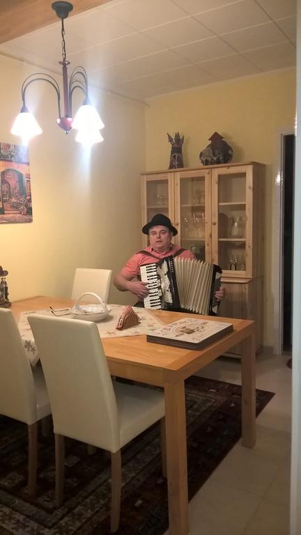 Pongracz Apartman Зирц Экстерьер фото