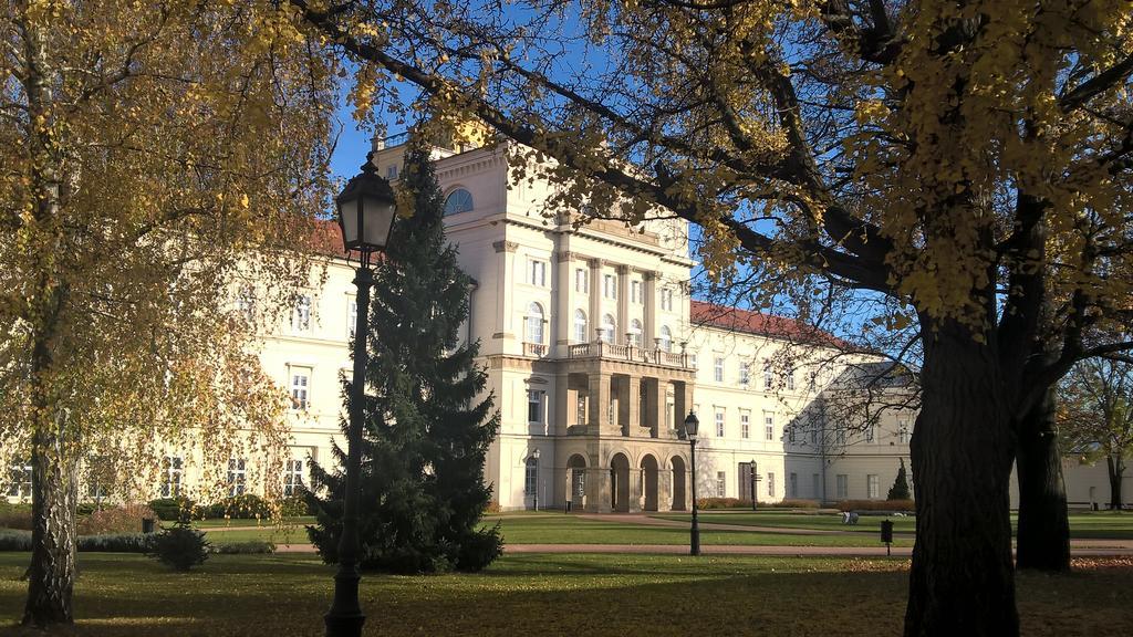Pongracz Apartman Зирц Экстерьер фото